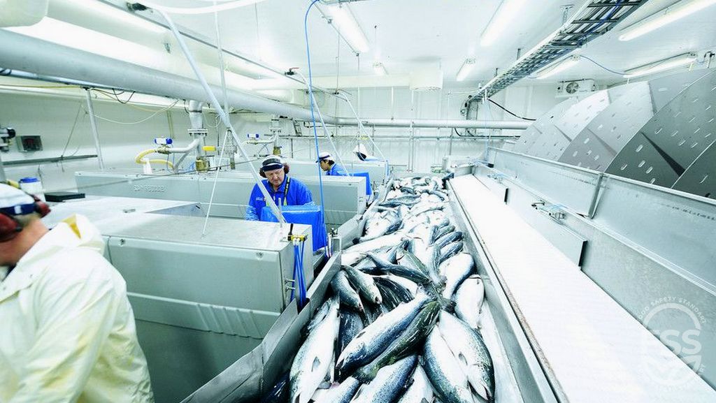 Seguridad alimentaria y pescado de piscifactoría