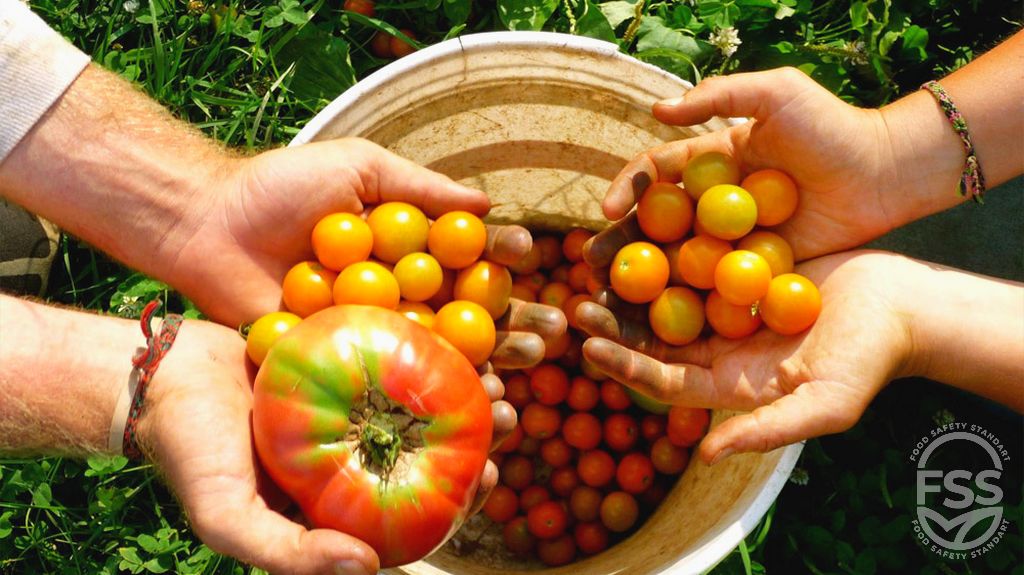 Gıda Güvenliği ve Ekolojik Tarım Faaliyetleri