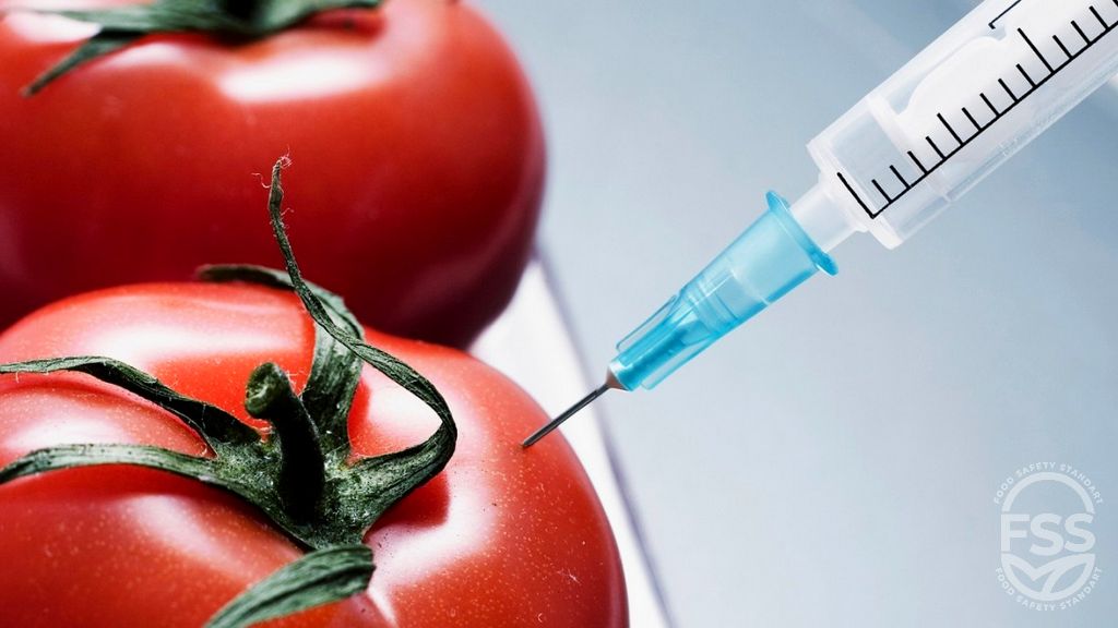 Gıda Güvenliği ve Genetiği Değiştirilmiş Organizmalar
