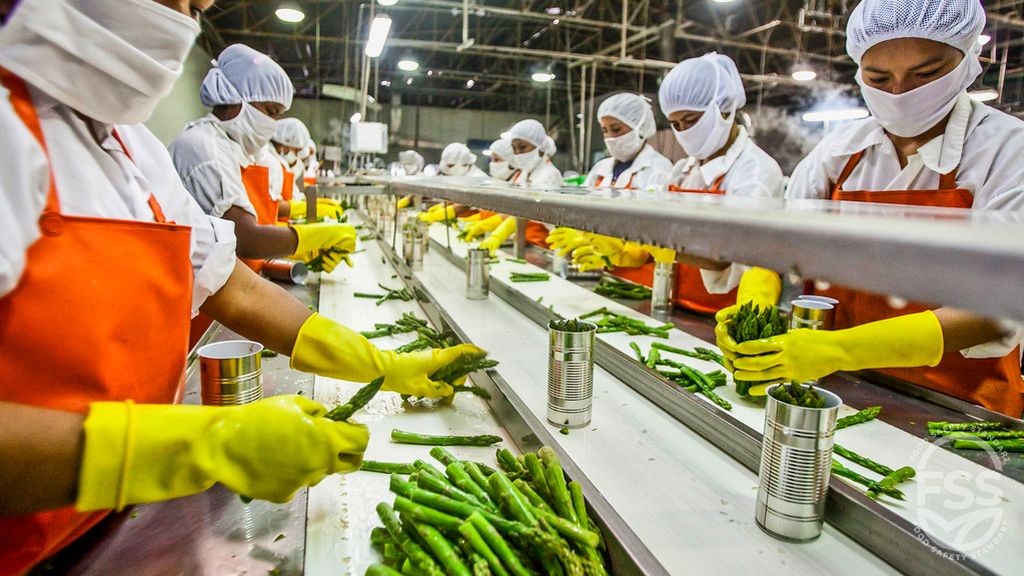Gıda Üretim Sektörü İçin Gıda Güvenliği Belgesi