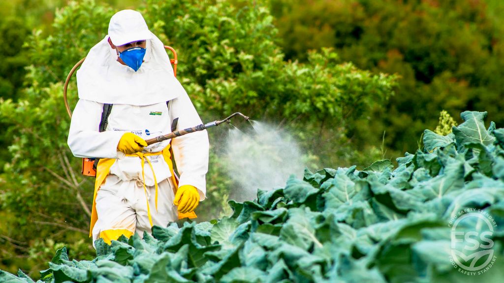 Gıdalarda Pestisit ve Toksikolojik Kontrol Sertifikasyonu