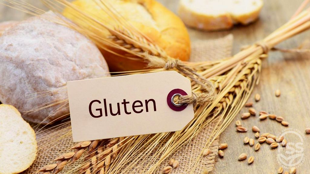 Glutensiz Gıda Sertifikasyonu