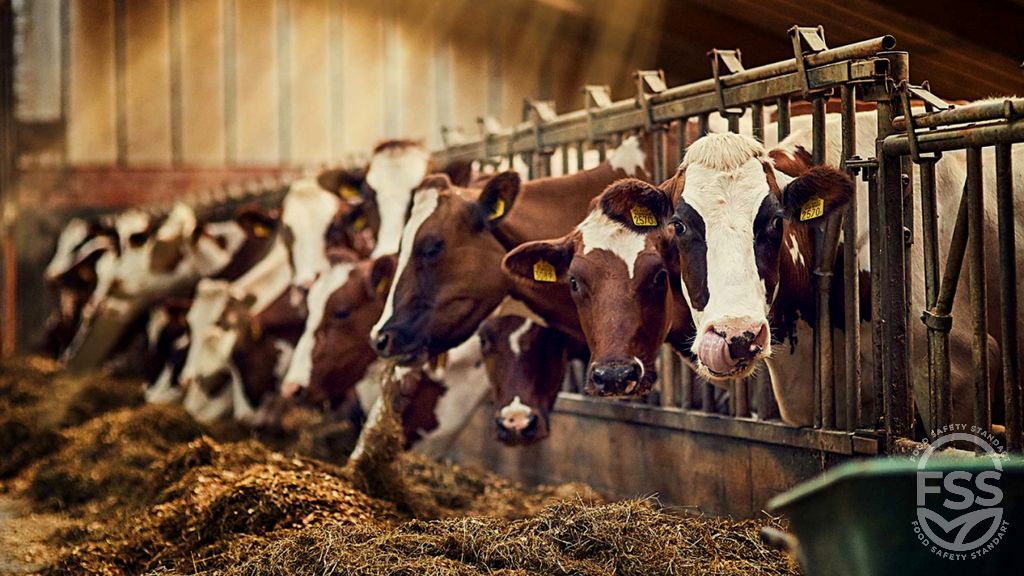 Hayvan Çiftlikleri İçin Gıda Güvenliği Belgesi