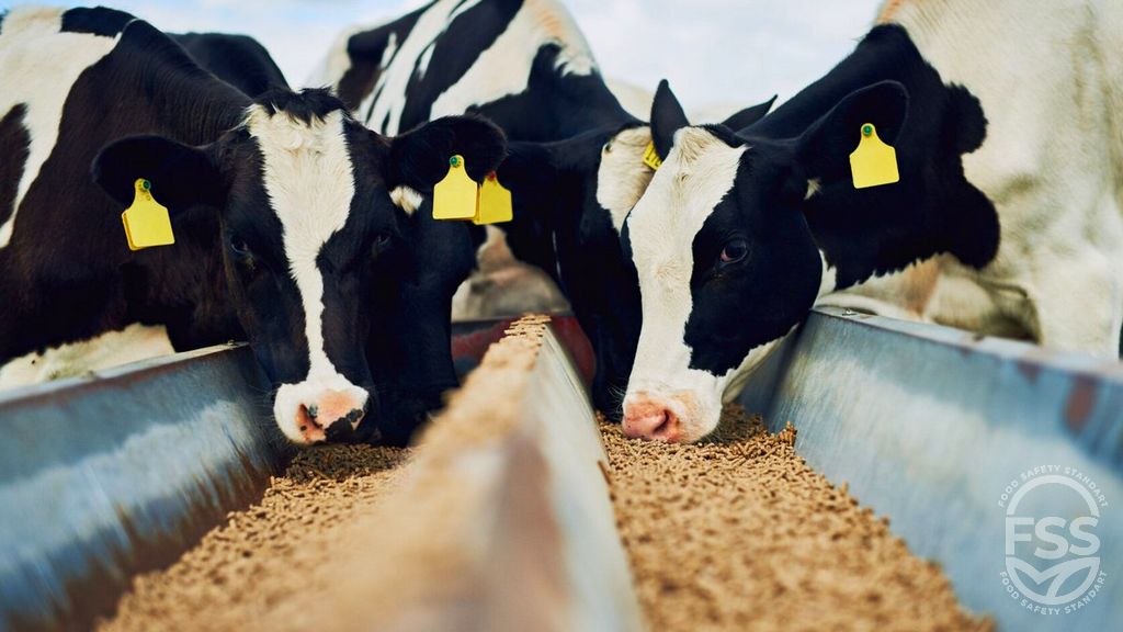 Impacto de la alimentación animal en la seguridad alimentaria